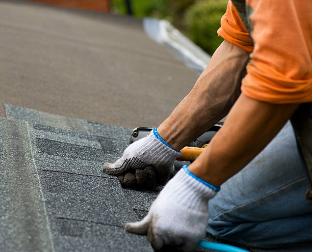 Best Roof Gutter Cleaning  in Greybull, WY