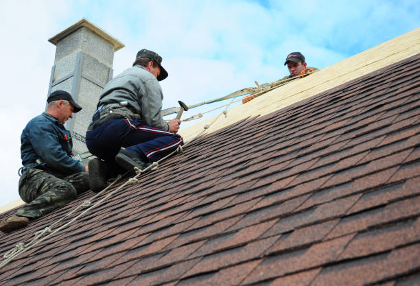 Best Flat Roof Repair Services  in Greybull, WY